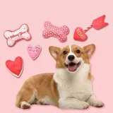 valentines day dog toys (1) Keep your pet’s teeth healthy and their mind occupied with this plush Valentine’s Day toy, featuring a squeaker and durable design.