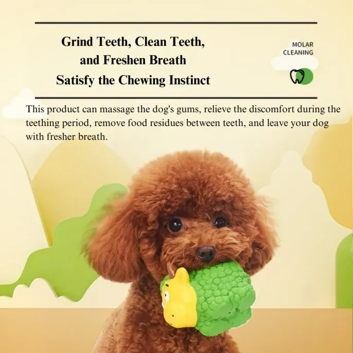 Durable chew toys for dogs