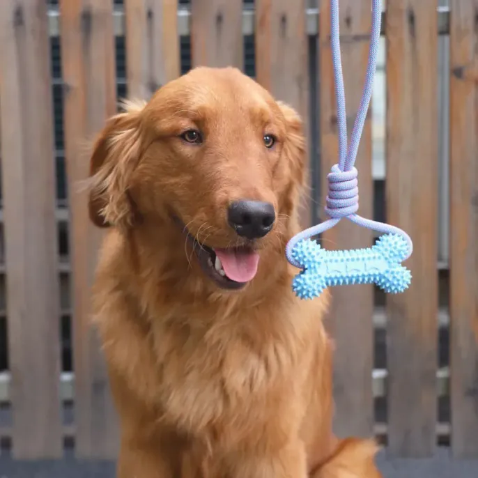 Chew toys for puppies Dog dental toys