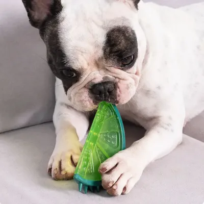 frozen dog chew toy