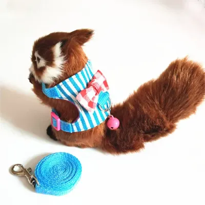Small Animals Harness And Leash Set Small Animals Harness