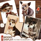 pet bow tie (5) The timeless design of this bow tie makes it a versatile accessory that can be worn for any occasion. Whether for everyday wear or special events, this classic bow tie will remain a stylish staple in pets' wardrobes.