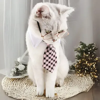 Pet Necktie Collar Dog Collar Cat Collar