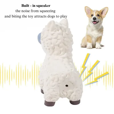 dog chew toy