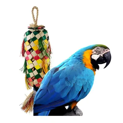 Bird Toy Supplier Bird Toy Supplier