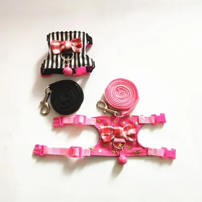 Hamster Harness and Leash Hamster Harness and Leash