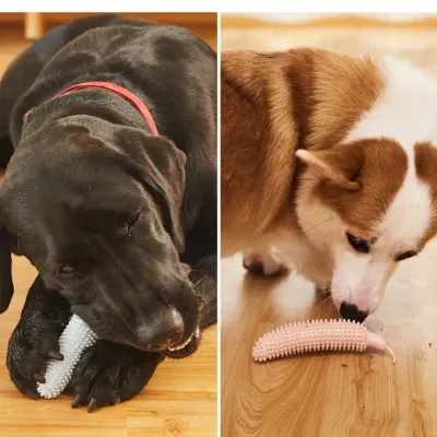 dog toy for mental stimulation outdoor dog chew toy