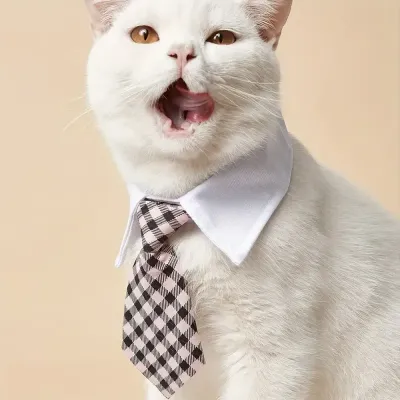 Pet Necktie Collar Dog Collar Cat Collar