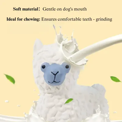 dog dental toy