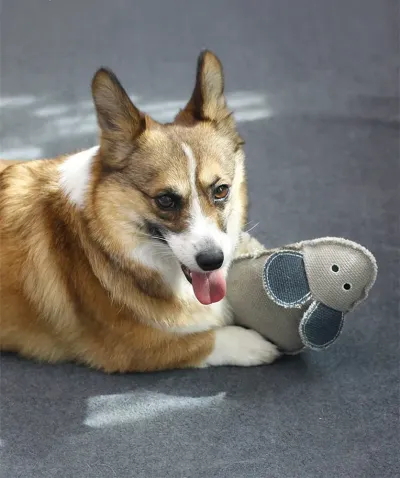 With its interactive sound feature, this toy keeps dogs entertained while they chew, making it an excellent choice for pet businesses looking to provide products that promote active play and training.