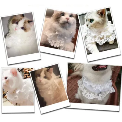 Elegant Princesses Saliva Towel Cat Dog Cute Lace Pet Accessories White Lace Cats Firework Pattern White Lace Pet Collar