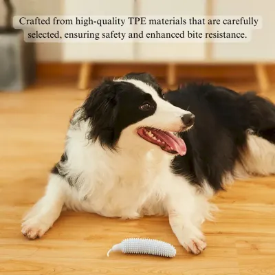 chew toy for Bichon non-toxic dog toy