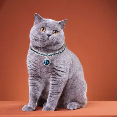 Rhinestones Cat Collar with Bling Charm Cat Accessories Shiny Heart-shaped Diamond Pet Necklace