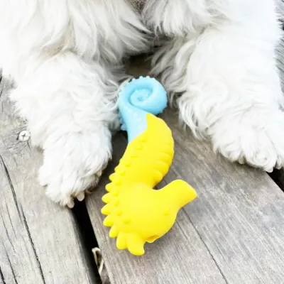 Bulk Floatable Dog Toys Bulk Floatable Dog Toys