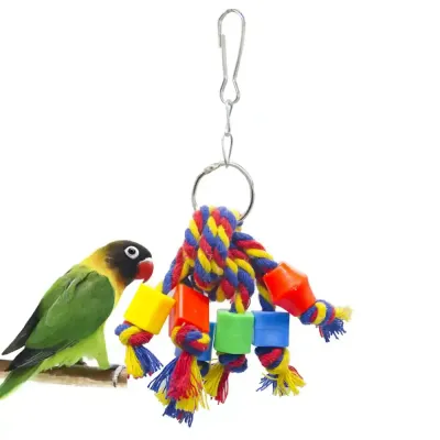cute bird toy provider cute bird toy provider