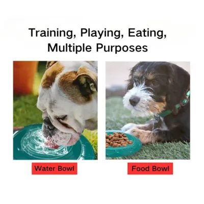 dog toy frisbee usage dog toy frisbee usage