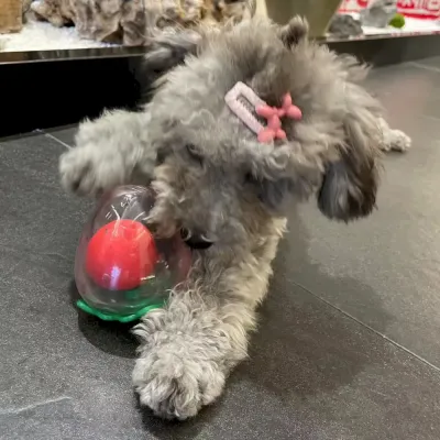 durable dog toy squeaky dog toy for small breeds