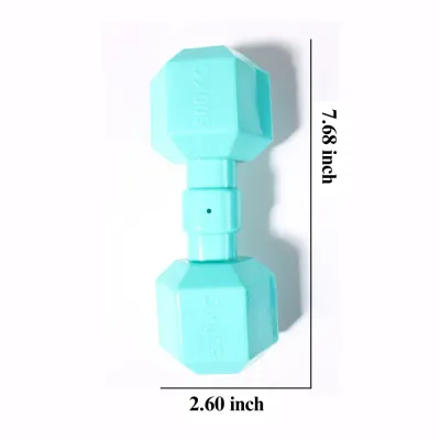 Dog squeaky toys