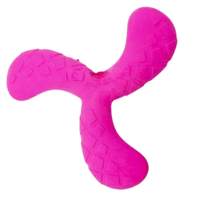 Water play dog toys
