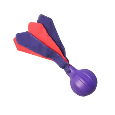Dog Throwing Balls Toy