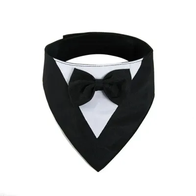 Formal Suit with Bow Tie Dog Collar Black Formal Suit with Bow Tie Dog Collar Black