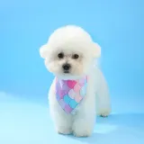 Ideal for photoshoots and social media, this bandana's unique mermaid tail design adds a fun and fashionable touch to pets’ appearances.