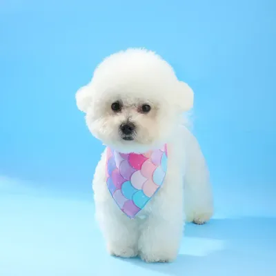 Triangle Scarf for Dogs (16) Ideal for photoshoots and social media, this bandana's unique mermaid tail design adds a fun and fashionable touch to pets’ appearances.