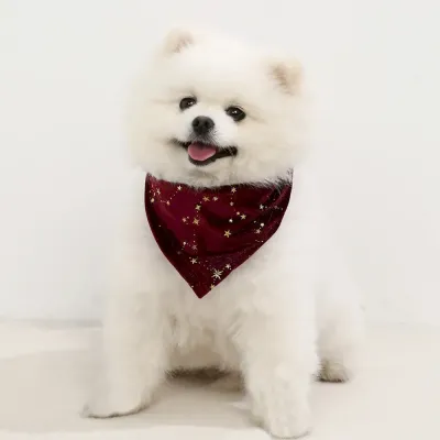 Dog accessories for fashion Pet bib for dogs