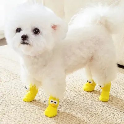 Pet Paw Socks wholesale Pet Paw Socks wholesale