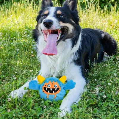 Designed to provide stress relief through active play, this toy helps pets release pent-up energy, making it ideal for active pets or those who experience anxiety, offering pet retailers a toy that supports both mental and physical well-being.