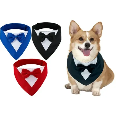 Formal Suit with Bow Tie Dog Collar Black