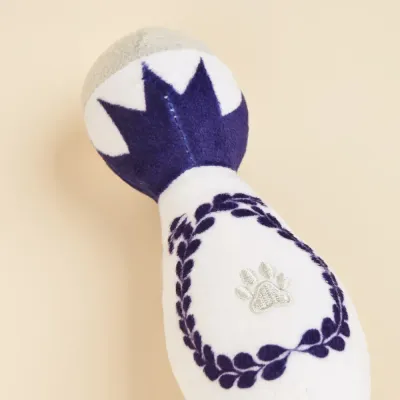 Colorful dog chew toy