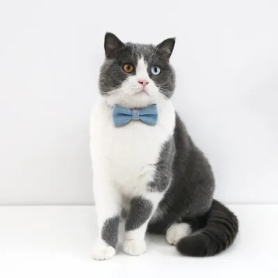 Pet Denim Bow Tie Collar (4)_1 The adjustable neck strap provides a customizable fit for cats and dogs of different sizes, making this collar set an easy choice for pet owners looking for convenience and flexibility.