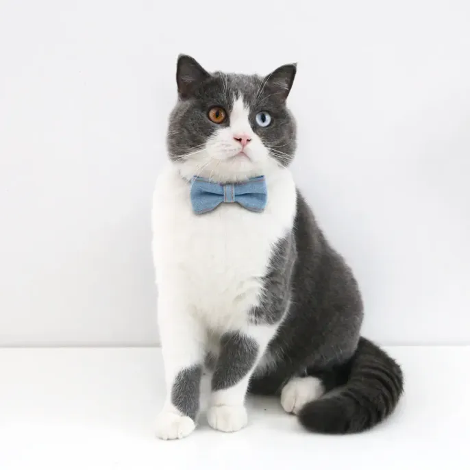 Pet Denim Bow Tie Collar (4)_1 The adjustable neck strap provides a customizable fit for cats and dogs of different sizes, making this collar set an easy choice for pet owners looking for convenience and flexibility.