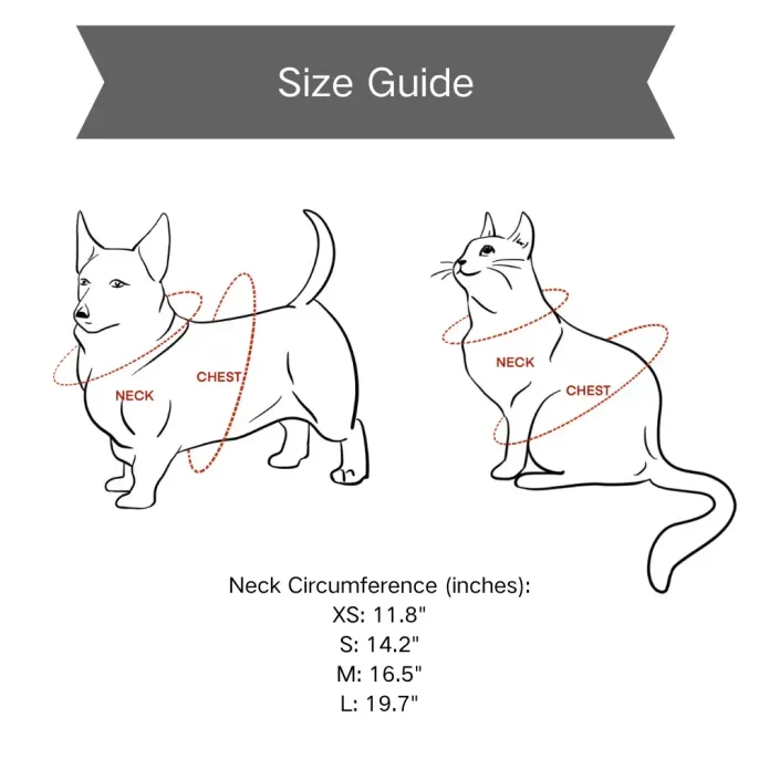 Formal Suit with Bow Tie Dog Collar Black