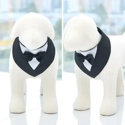 Formal Suit with Bow Tie Dog Collar Black