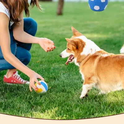 Volleyball Dog Toy Wholesale