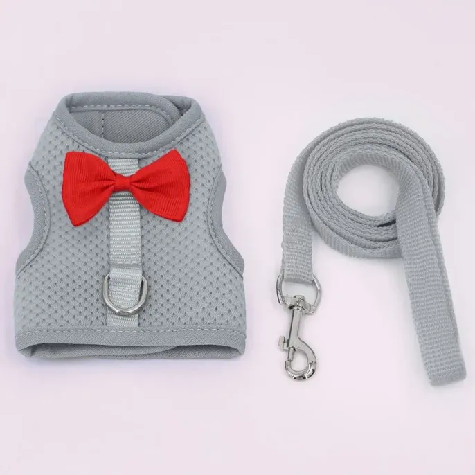 Grey Rabbit Harness Leash Set