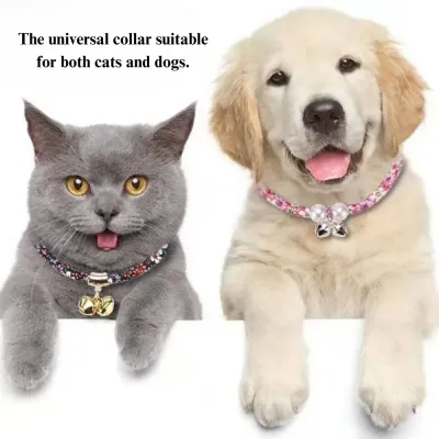 Cat collars for tracking Pet accessories for cats