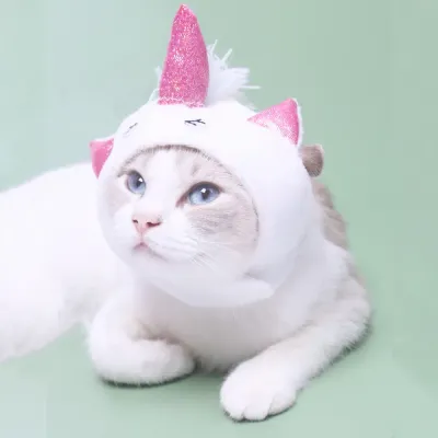 Ideal for Halloween parties, photoshoots, or pet parades, this headpiece adds a magical touch to any costume, making it a must-have accessory for pet owners who love dressing up their pets.