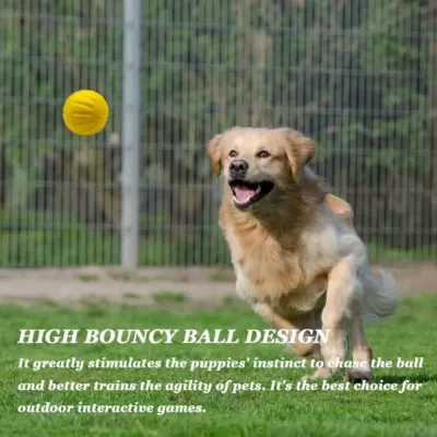 Floating dog ball