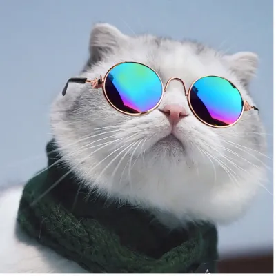 Cats Costumes Glasses Cats Costumes Glasses