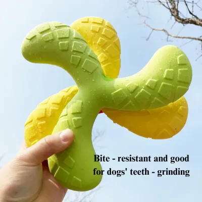 Dog frisbee toy for training