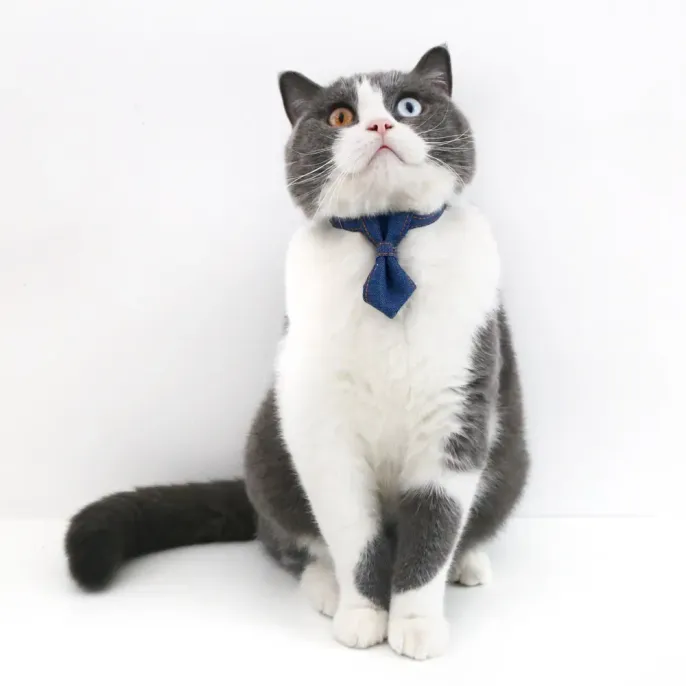 Pet Denim Bow Tie Collar (2)_1 With its elegant and fashionable design, this denim collar set adds a touch of charm to pets, making it perfect for photoshoots, parties, or everyday wear.