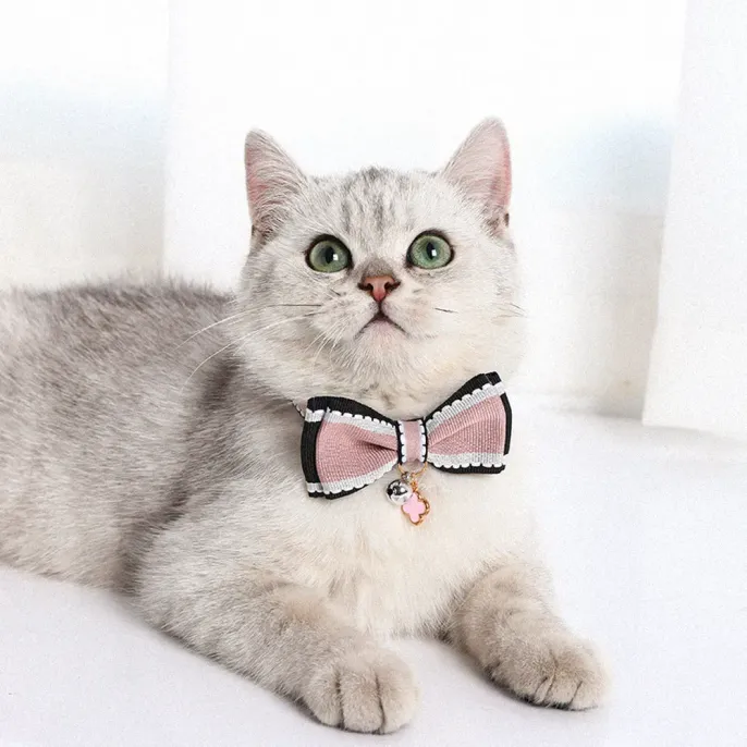Bow Tie Pet Collar with Bell (2)_1 Made from soft, comfortable materials, this collar ensures pets enjoy long-lasting comfort without irritation, perfect for everyday wear.