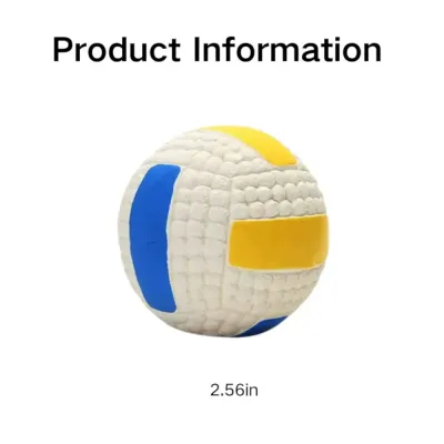 Fetch Squeaky Dog Toy