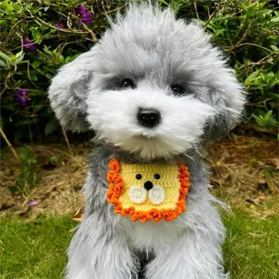 pet knit bib (1)_1 The little lion design gives this bib an adorable, eye-catching look, perfect for pets who love to stand out at parties, photoshoots, or casual walks.