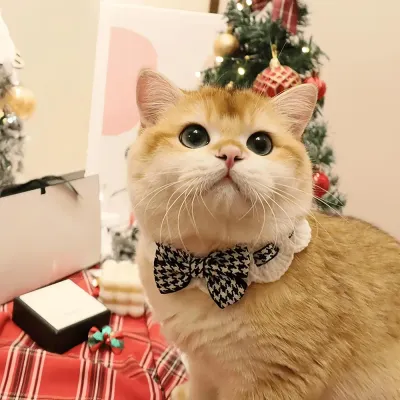 Floral Knitted Pet Collar with Bowtie