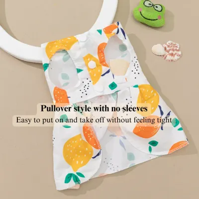pomeranian dog dress cartoon dog clothing