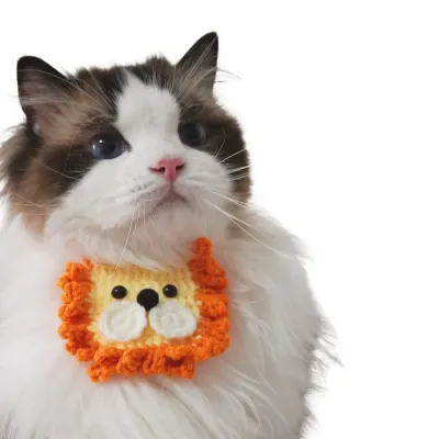 pet knit bib (2) Designed for small dogs and cats, this half-circle bib with an adjustable fit is ideal for a wide range of breeds and is perfect for retailers catering to pet apparel needs.
